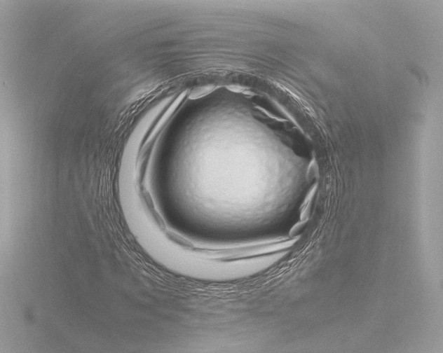 X0000116420869200912221443