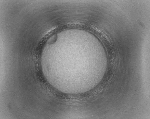 X0000116420870200912221443