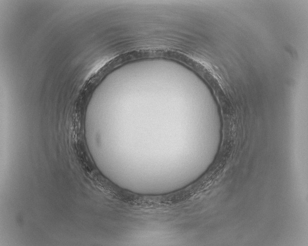 X0000116420871200912221443