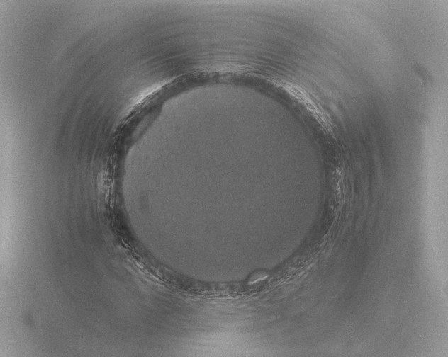 X0000116420872200912221443