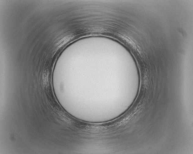 X0000116420873200912221443