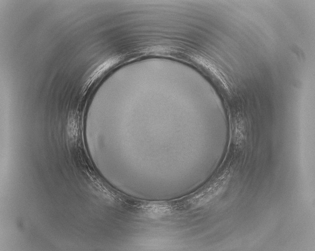 X0000116420874200912221443