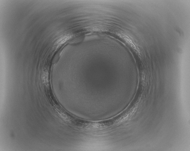 X0000116420881200912221443