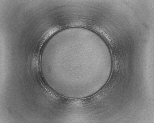 X0000116420882200912221443