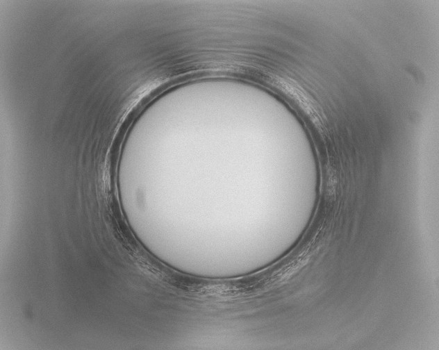 X0000116420883200912221443