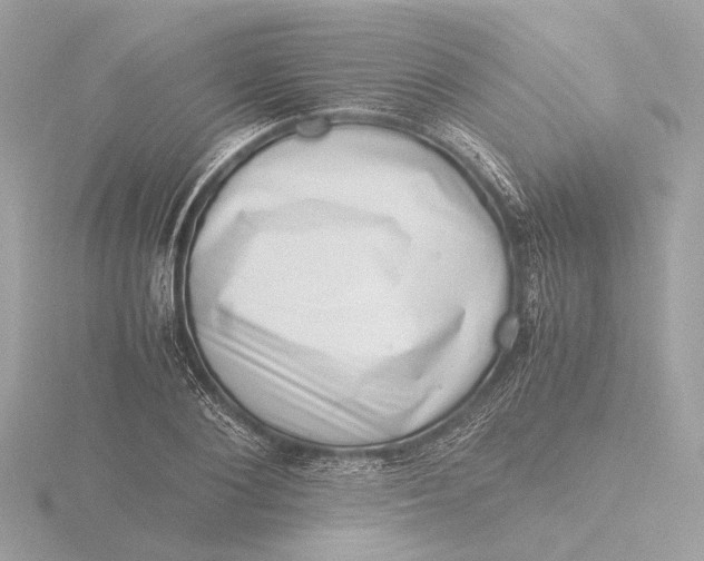 X0000116420884200912221443