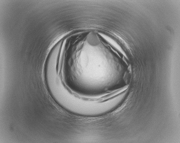 X0000116420885200912221443