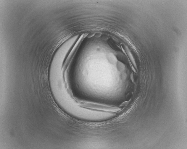 X0000116420889200912221443