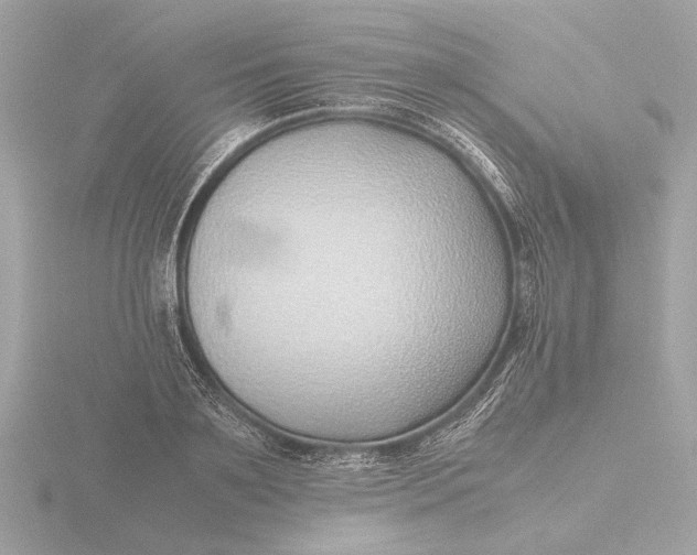 X0000116420891200912221443
