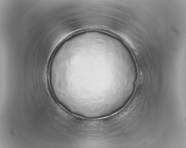 X0000116420895200912221443