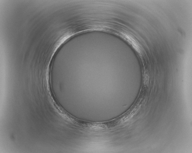 X0000116420899200912221443