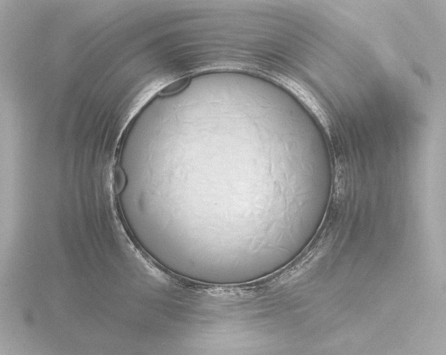 X0000116420906200912221443