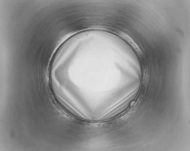 X0000116420908200912221443