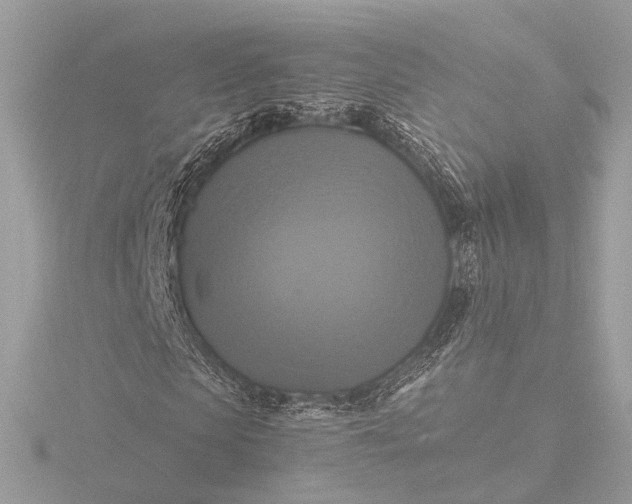 X0000116420913200912221442