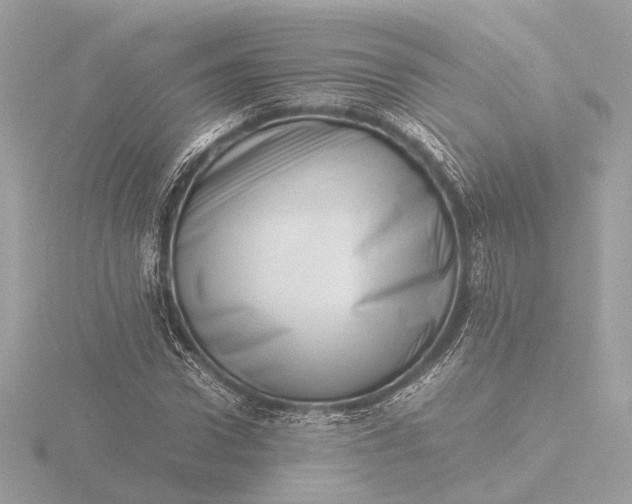 X0000116420922200912221442
