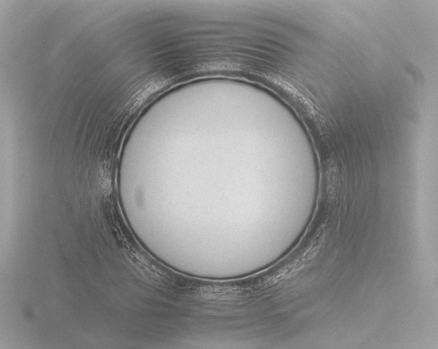 X0000116420929200912221442