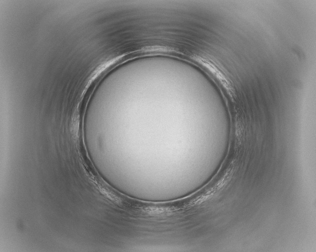 X0000116420933200912221442