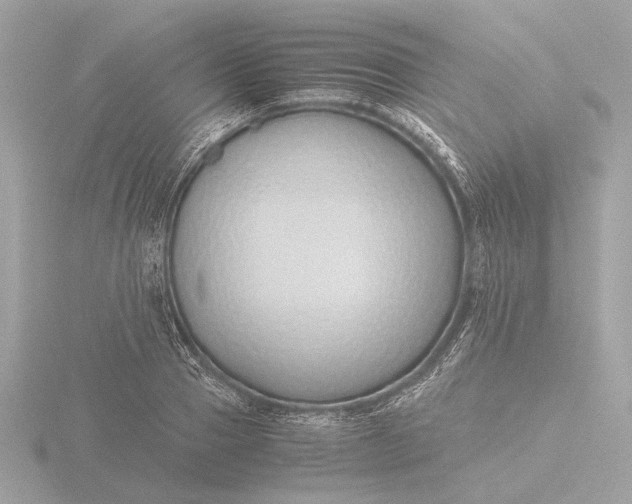X0000116420937200912221443
