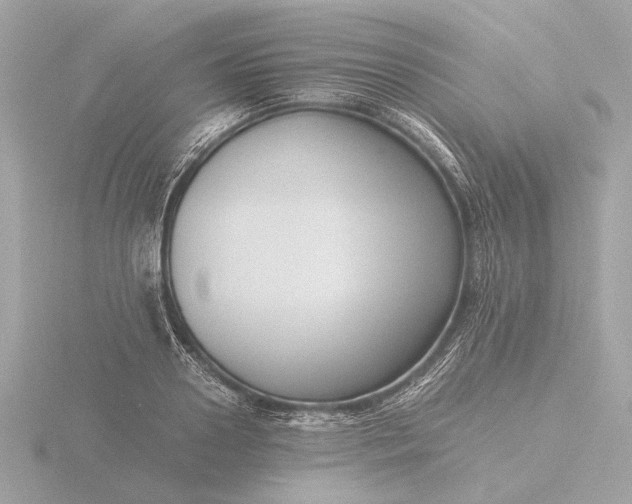 X0000116420938200912221443
