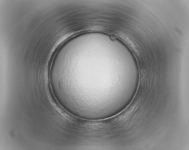 X0000116420939200912221443