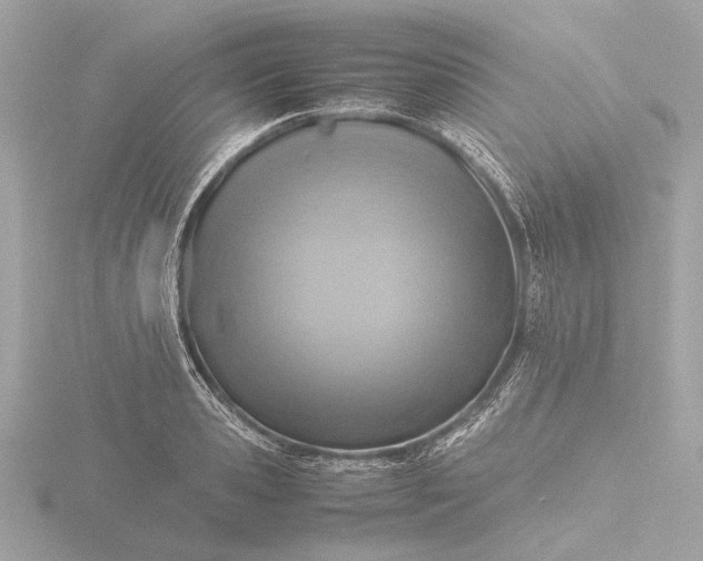 X0000116420941200912221443