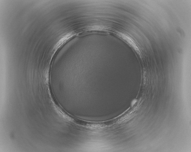 X0000116420946200912221443