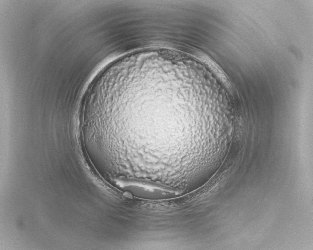 X0000116420955200912221443