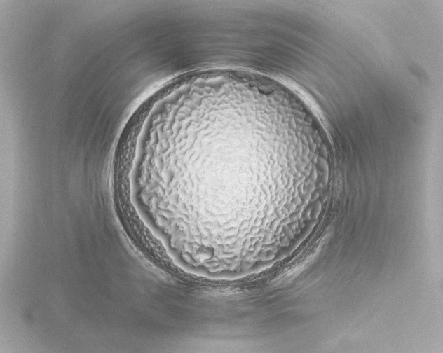 X0000116420957200912221443