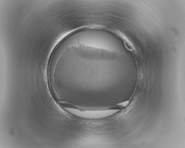 X0000116420959200912221443