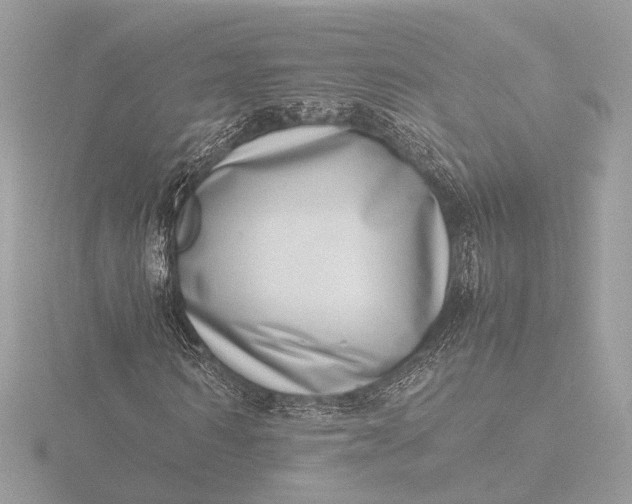 X0000116420962200912221442