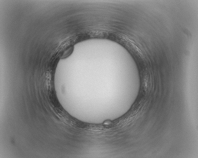 X0000116420964200912221442