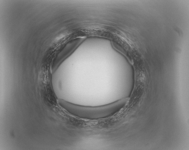 X0000116420965200912221442