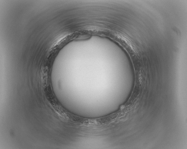 X0000116420968200912221442
