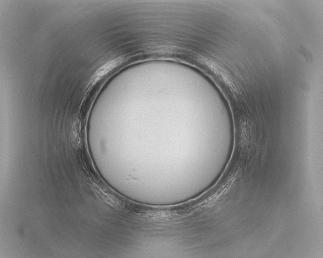 X0000116420970200912221442