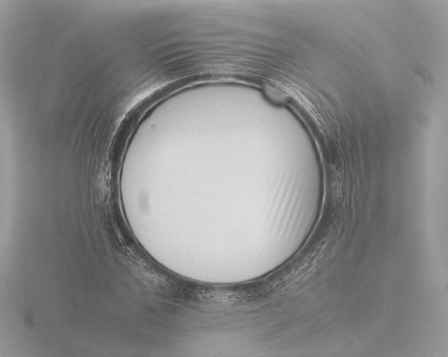 X0000116420971200912221442