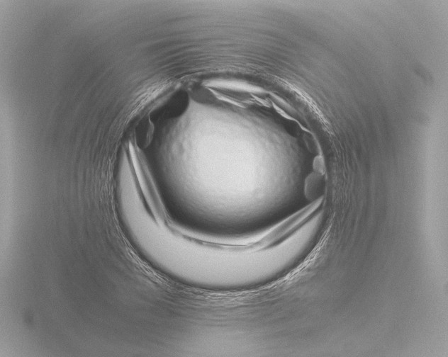 X0000116420977200912221442