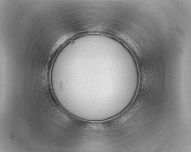 X0000116420978200912221442