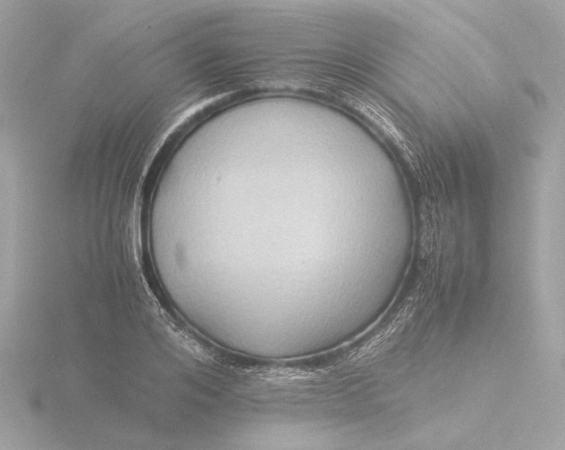 X0000116420984200912221442