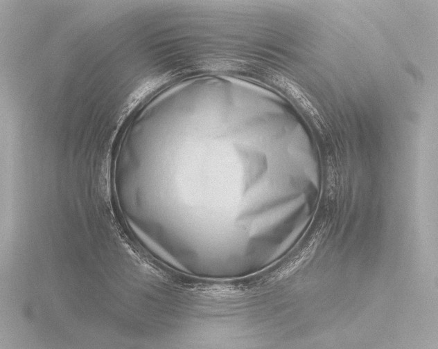 X0000116420986200912221442