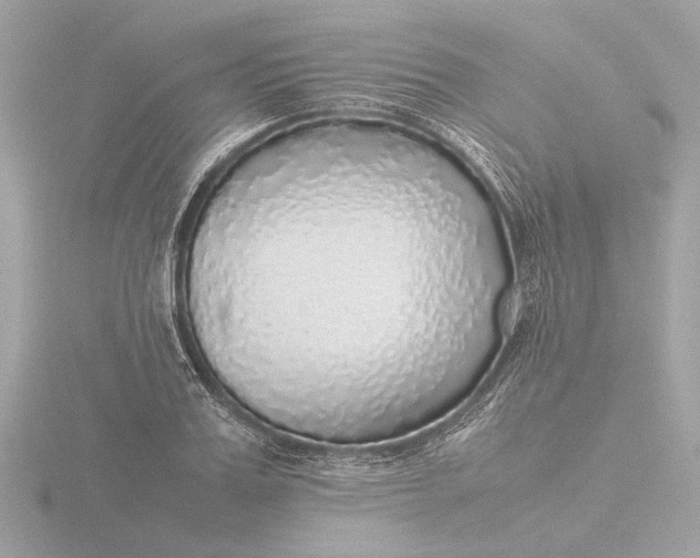 X0000116420987200912221442