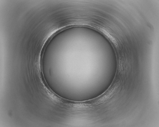 X0000116420988200912221442