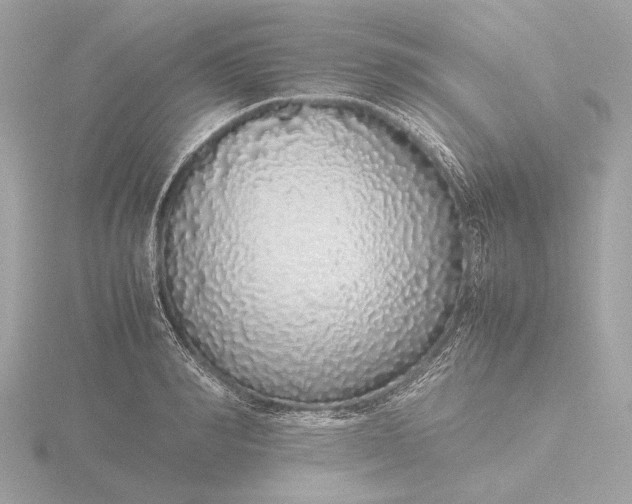 X0000116420990200912221442