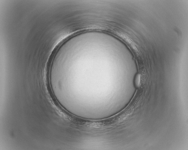 X0000116420991200912221442