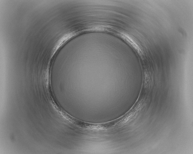 X0000116420994200912221442
