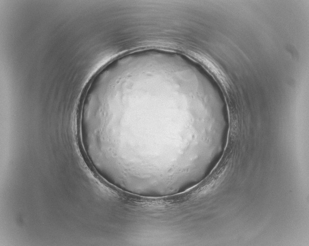 X0000116420999200912221442