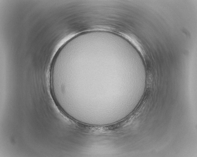 X0000116421003200912221442