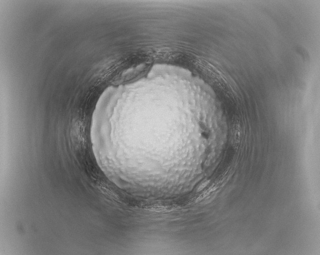 X0000116421010200912221441