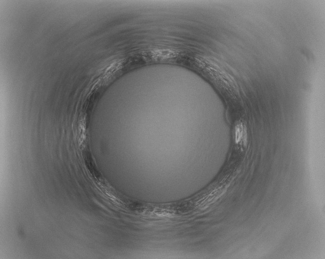 X0000116421011200912221441