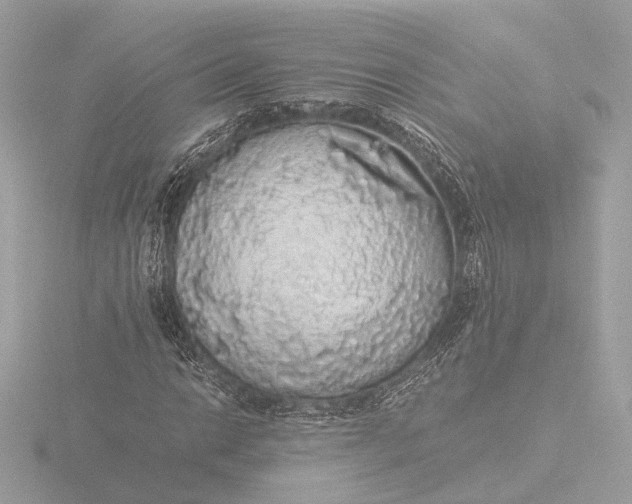 X0000116421014200912221441