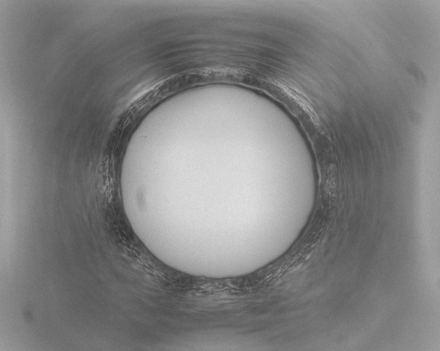 X0000116421015200912221441